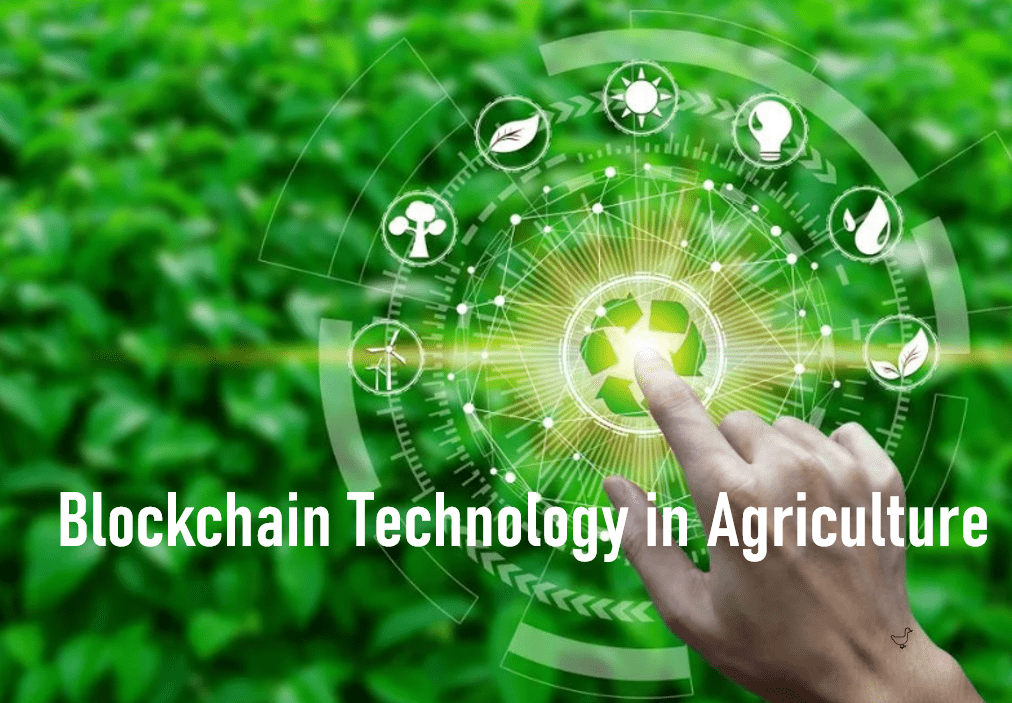 Harvesting the Future: Blockchain Technology in Agriculture - Southern Drone OPS