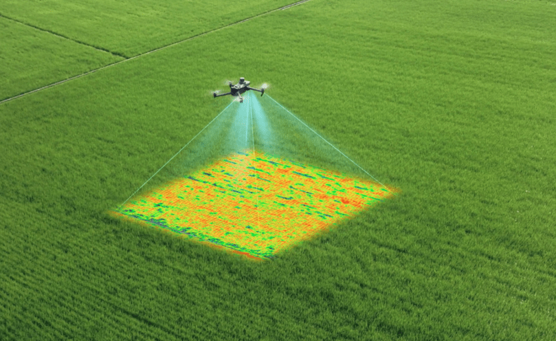 Sky-High Insights: Harnessing Drone Data for Elevated Crop Management - Southern Drone OPS