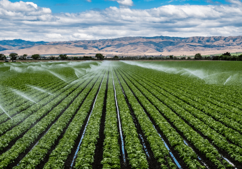 Drones and Crop Irrigation: Navigating the Future of Sustainable Farming - Southern Drone OPS