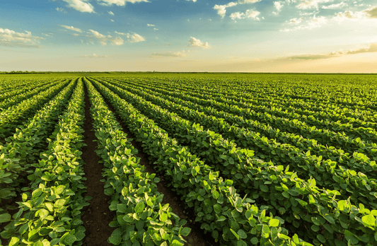 Learn the Truth About Agriculture in The Next 60 Seconds - Southern Drone OPS